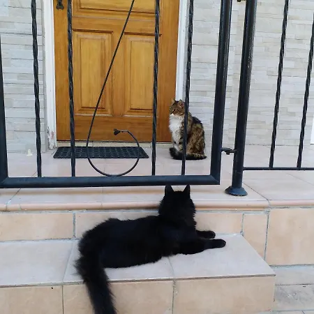 In Universal Villa Pafos
