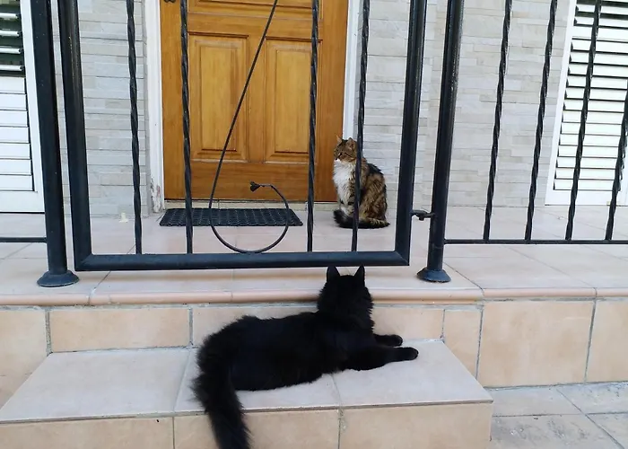 In Universal Vila Paphos