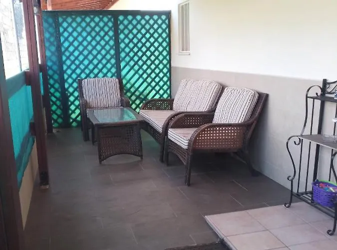 Willa In Universal *